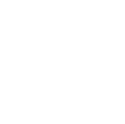 Extended SSL Certificates